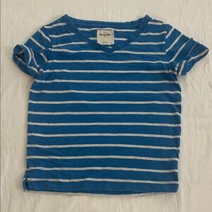 Abercrombie & Fitch Blue and White Striped V-Neck Tee